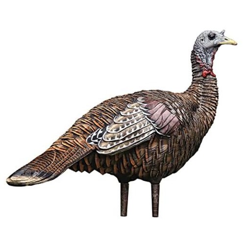 Avian lcd lookout - x, turkey