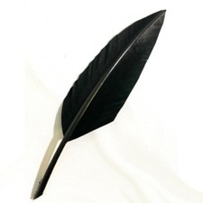 Penna nera corvo per - nera, di