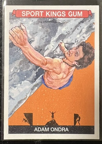 2024 sport kings volume - volume, 5