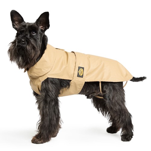 Fashion dog regenschutz - fashion, cane