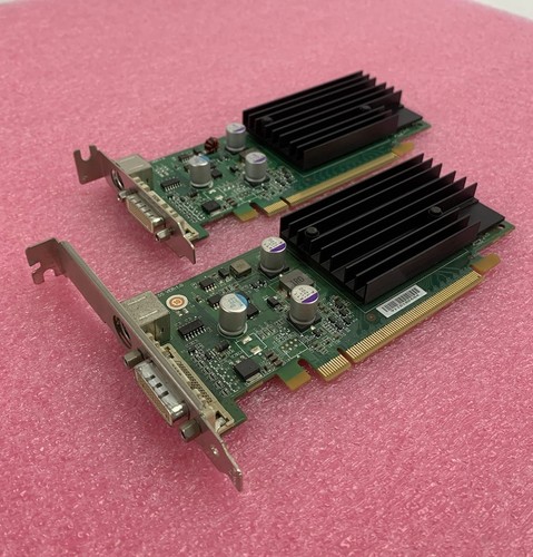 Scheda video grafica - , nvidia