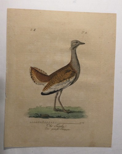 Friedrich endler 1809 - 1809, 16