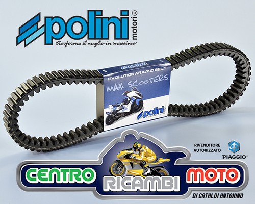 Cinghia trasmissione polini - cinghia,