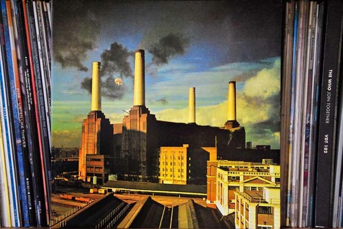 Pink floyd animals - pink, lp