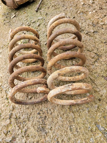Coppia molle ammortizzatori - coppia,
