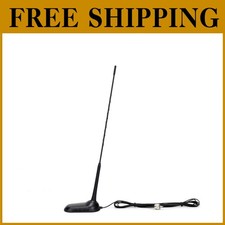 Virginia Frusta Fissa Antenna