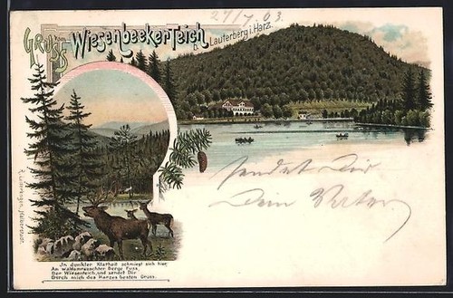 Litografia lauterberg - litografia, /