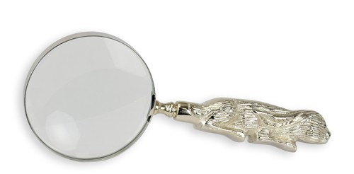Una lente ingrandimento con - d'ingrandimento,