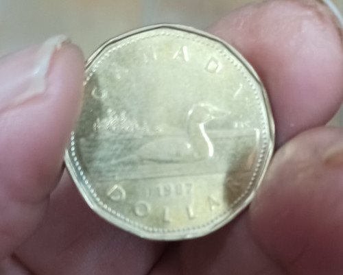 Dollaro canadese regina - dollaro,