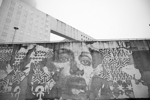 Stampa foto vera analogica - stampa,