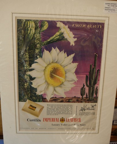 Original vintage soap advert - soap,