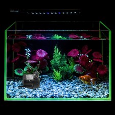  Pompa Per Laghetti Idrovora