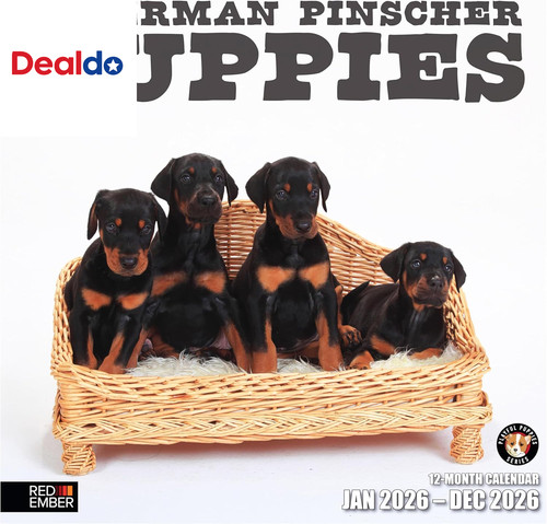 Calendario parete doberman - parete,