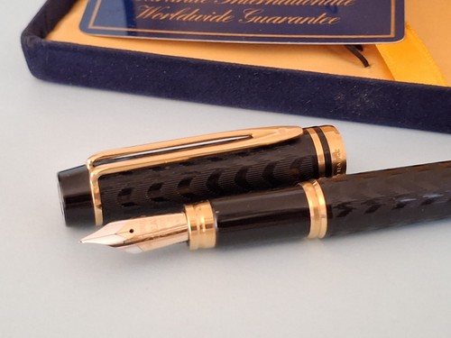 Penna stilografica waterman - penna,