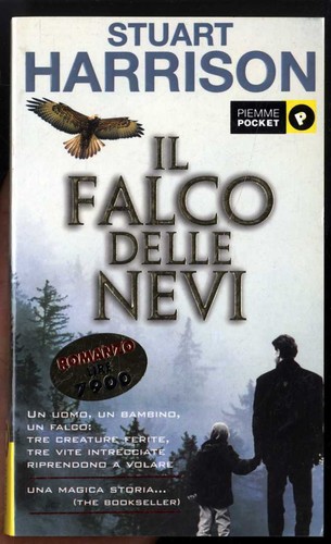 Falco delle nevi - falco,