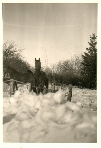 Foto tempo süderbrarup - foto,, tempo,