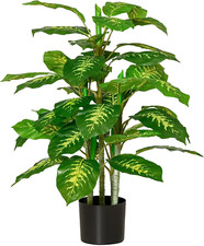 Evergreen Artificial