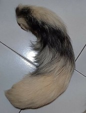 Coda di volpe Pelliccia vera Fox tail Real fur Fuchs Pelz