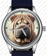 Cinese Shar Pie Cane Animali