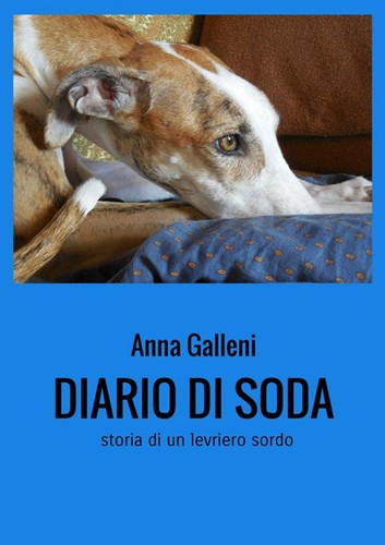 Diario soda storia - soda., un