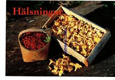 CANTHARELLUS CIBARIUS MIRTILLI FUNGO   BLUEBERRY MUSHROOM PILZ CHAMPIGNON  Carto