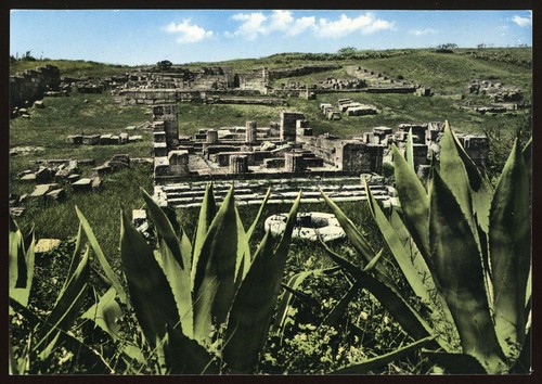 Cartolina selinunte - cartolina,