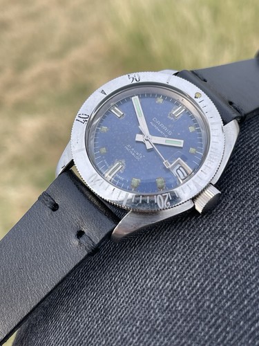 Daris squale medium - daris,