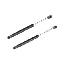 2x Molle a Gas Ammortizzatori