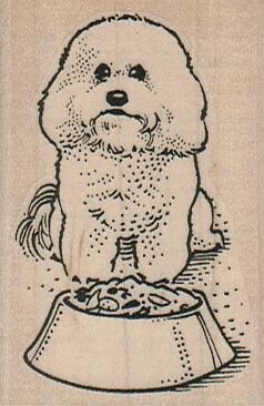 Timbro gomma bichon con - in,