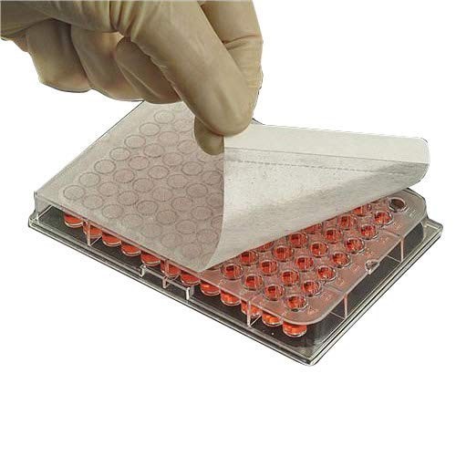 Axygen 444 rayon pellicola - axygen,