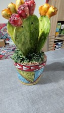 Pianta ficodindia in vaso in