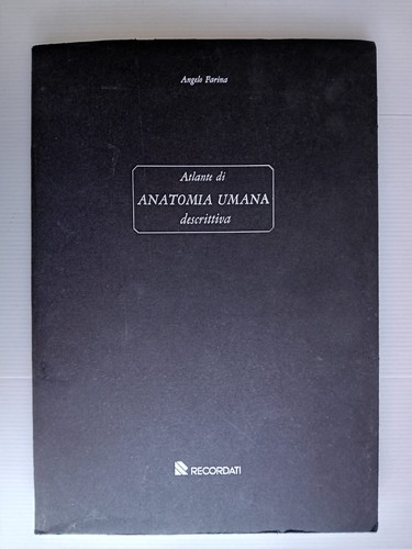 Atlante anatomia umana - atlante,