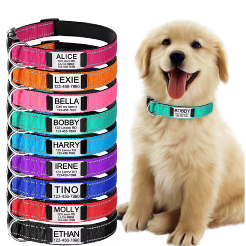 Collare per cani nylon - collare,