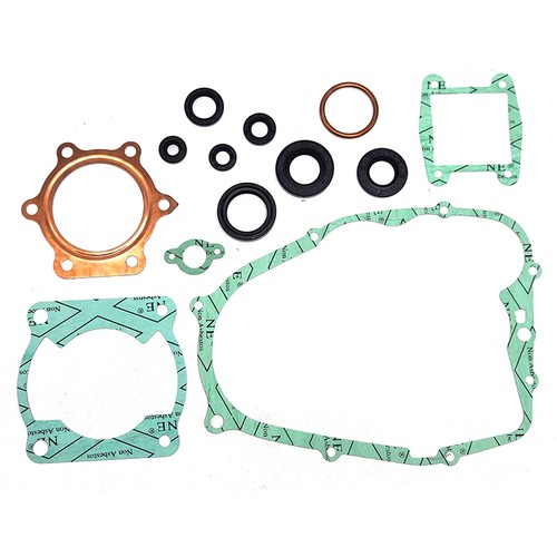 Guarnizione motore completa