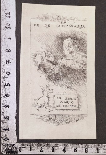 Wunderkammer exlibris 290 - pl,