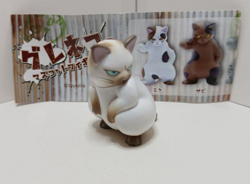 Gatto siamese mascotte - gatto,
