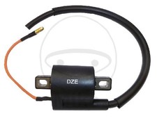 Bobina d'accensione 12V per