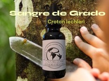 Sangre De Grado Pure Croton