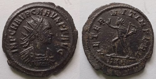 Carus roman antoninianus - carus,