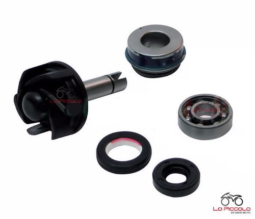 Kit revisione pompa - revisione, acqua
