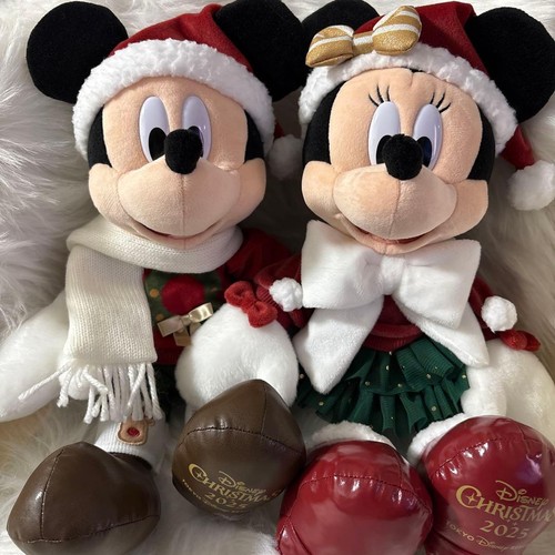 Tokyo disney resort natale - resort,
