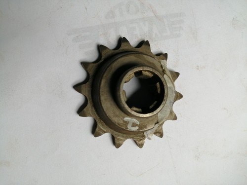 Moto capriolo pignone - 75,