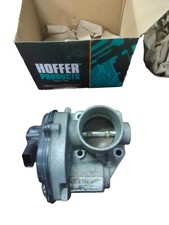 CORPO FARFALLATO FIESTA