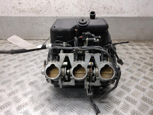 Corpo farfallato triumph tiger - corpo,