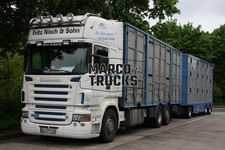 LKW Foto Scania R 580 Viehtransporter Deutschland weiß Fritz Nisch & Sohn #k6bk