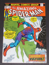 STUPENDO AVVOLTOIO UOMO RAGNO