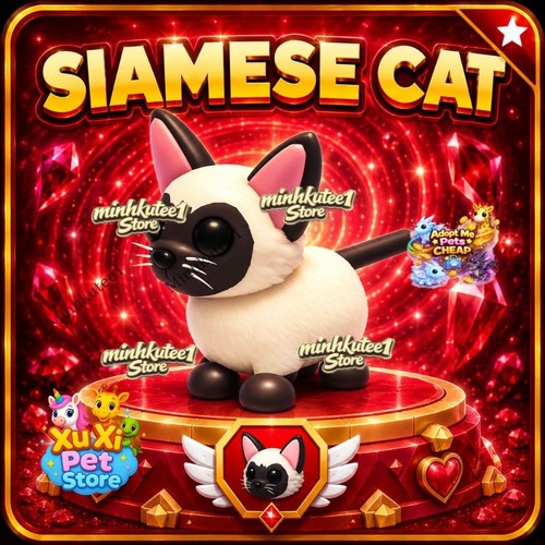 Gatto siamese adotta - 🐱,