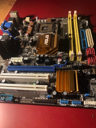 Scheda madre asus - scheda,