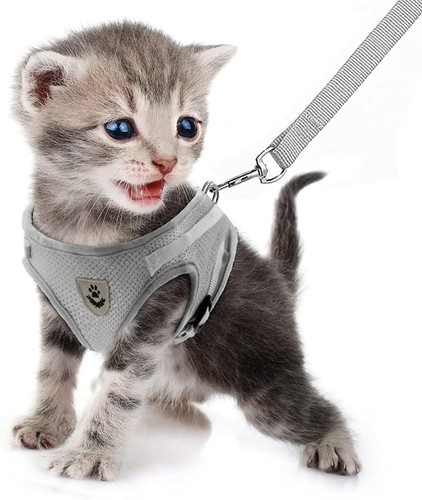 Feimax pettorina per - feimax, gatti