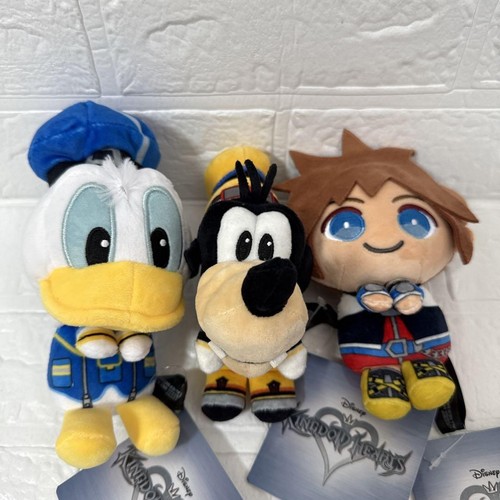 Kingdom hearts you - &, sora